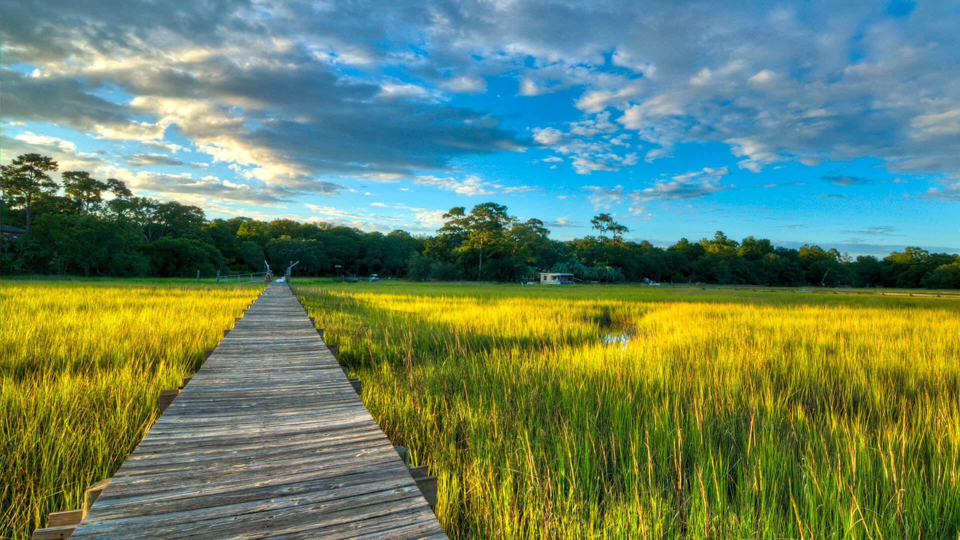 hilton-head