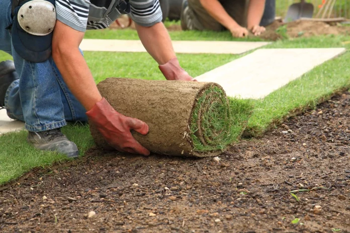Ako položiť trávnikový koberec