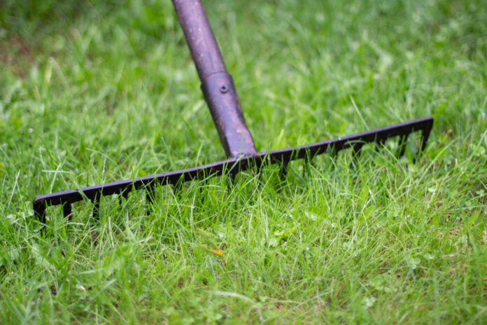 Prečo je vertikulácia dôležitejšia než hnojenie?